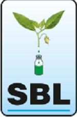 Sbl Coupons